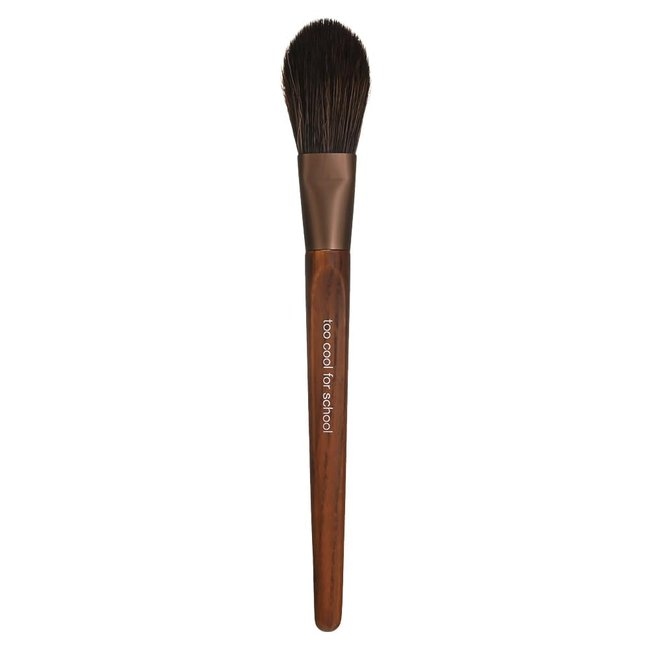 Artist Vegen Face Point Brush (-)